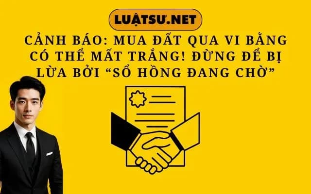 canh-bao-mua-dat-qua-vi-bang-co-the-mat-trang-dung-de-bi-lua-boi-so-hong-dang-cho