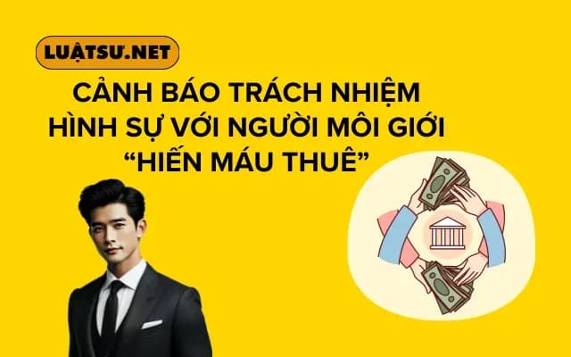 canh-bao-trach-nhiem-hinh-su-voi-nguoi-moi-gioi-hien-mau-thue