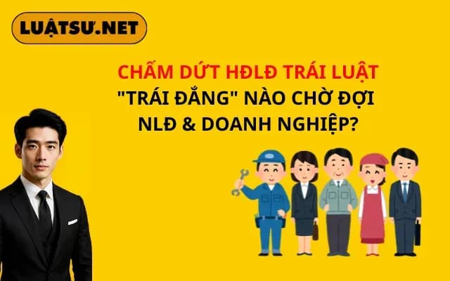 cham-dut-hdld-trai-luat-trai-dang-nao-cho-doi-nld-doanh-nghiep