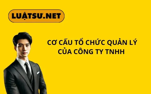 co-cau-to-chuc-quan-ly-cua-cong-ty-tnhh