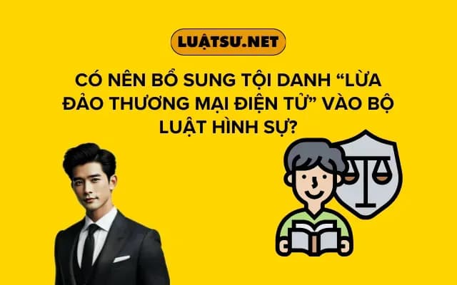 co-nen-bo-sung-toi-danh-lua-dao-thuong-mai-dien-tu-vao-bo-luat-hinh-su