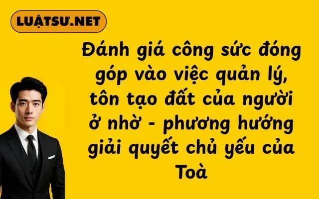 danh-gia-cong-suc-dong-gop-vao-viec-quan-ly-ton-tao-dat-cua-nguoi-o-nho-phuong-huong-giai-quyet-chu-yeu-cua-toa