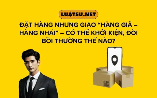 dat-hang-nhung-giao-hang-gia-hang-nhai-co-the-khoi-kien-doi-boi-thuong-the-nao