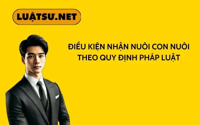 dieu-kien-nhan-nuoi-con-nuoi-theo-quy-dinh-phap-luat
