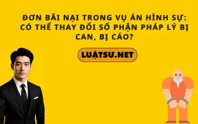 don-bai-nai-trong-vu-an-hinh-su-co-the-thay-doi-so-phan-phap-ly-bi-can-bi-cao