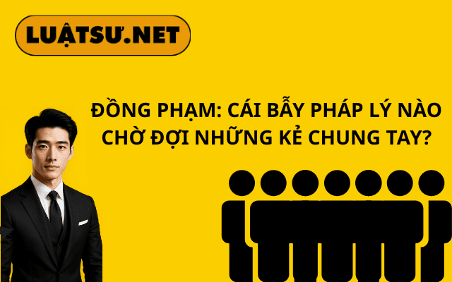 dong-pham-cai-bay-phap-ly-nao-cho-doi-nhung-ke-chung-tay