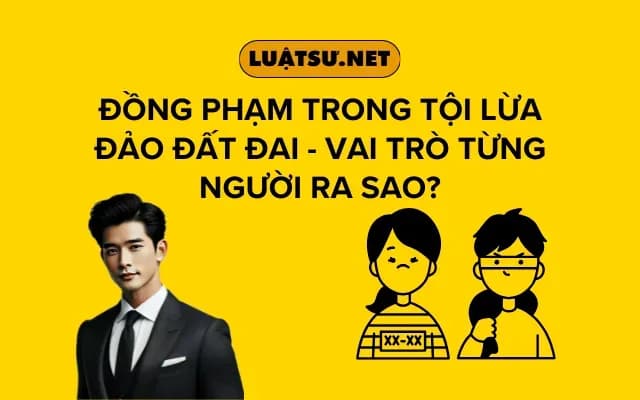 dong-pham-trong-toi-lua-dao-dat-dai-vai-tro-tung-nguoi-ra-sao