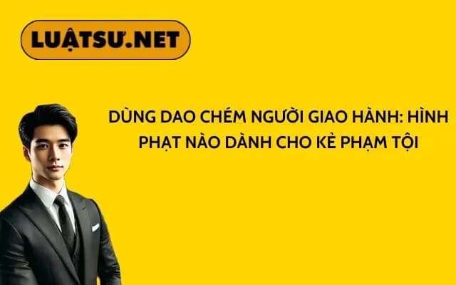 dung-dao-chem-nguoi-giao-hang-hinh-phat-nao-danh-cho-ke-pham-toi