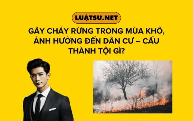 gay-chay-rung-trong-mua-kho-anh-huong-den-dan-cu-cau-thanh-toi-gi