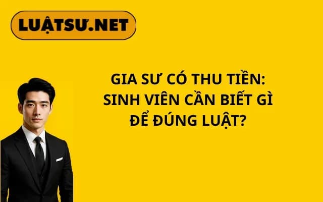 gia-su-co-thu-tien-sinh-vien-can-biet-gi-de-dung-luat