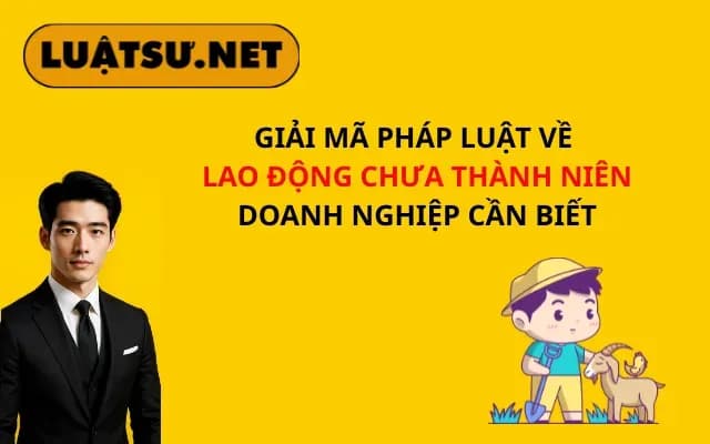 giai-ma-phap-luat-ve-lao-dong-chua-thanh-nien-doanh-nghiep-can-biet