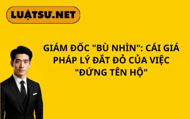 giam-doc-bu-nhin-cai-gia-phap-ly-dat-do-cua-viec-dung-ten-ho