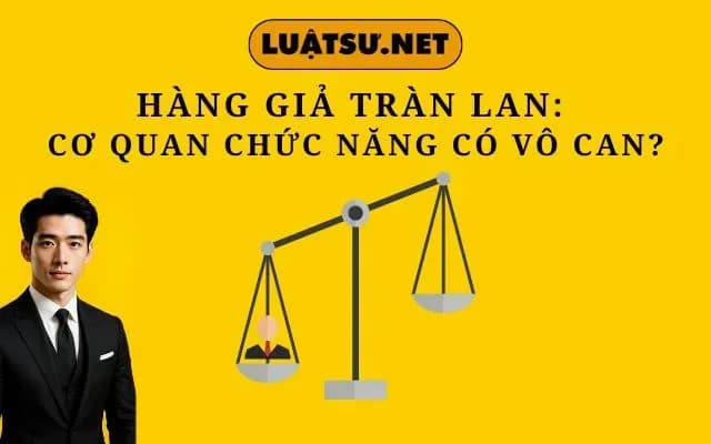 hang-gia-tran-lan-co-quan-chuc-nang-co-vo-can