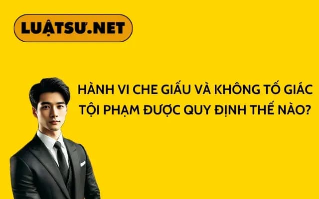 hanh-vi-che-giau-va-khong-to-giac-toi-pham-duoc-quy-dinh-the-nao