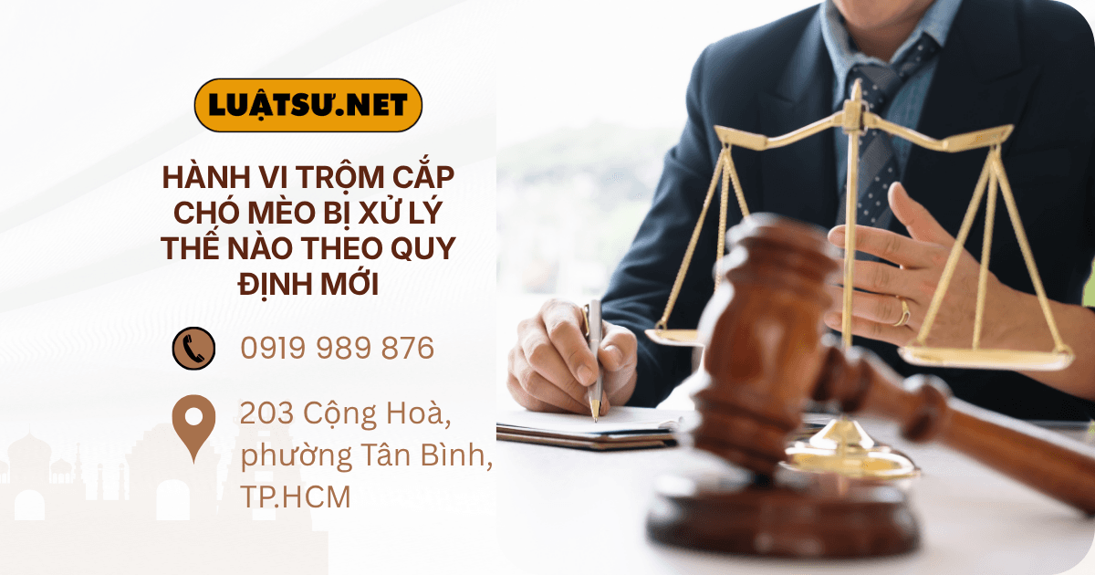 Ảnh đại diện Ls tư vấn xử lý hành vi trộm cắp chó mèo