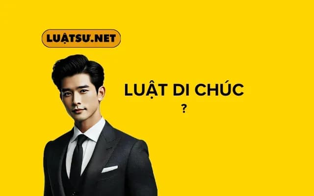 hieu-ro-luat-di-chuc-cung-buoc-vao-the-gioi-cua-quyen-loi-so-huu-687e087152cd7.webp