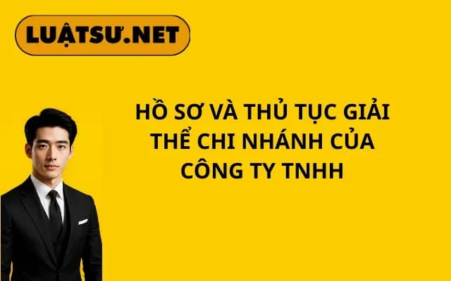 ho-so-va-thu-tuc-giai-the-chi-nhanh-cua-cong-ty-tnhh