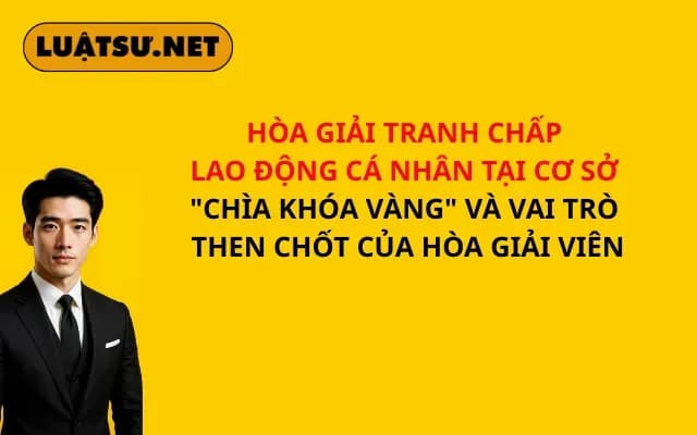 hoa-giai-tranh-chap-lao-dong-ca-nhan-tai-co-so-chia-khoa-vang-va-vai-tro-then-chot-cua-hoa-giai-vien