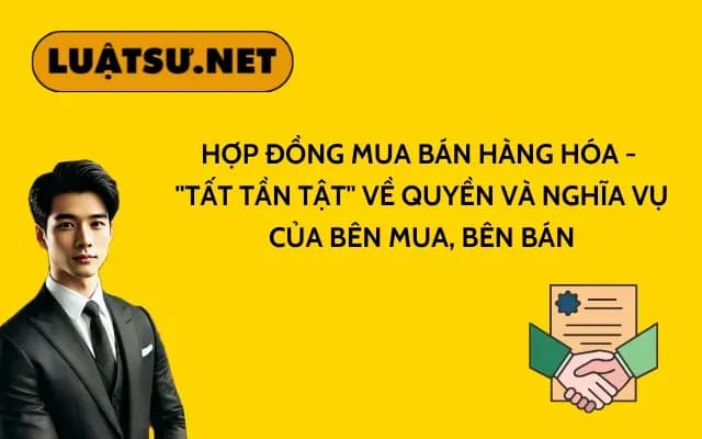 hop-dong-mua-ban-hang-hoa-tat-tan-tat-ve-quyen-va-nghia-vu-cua-ben-mua-ben-ban