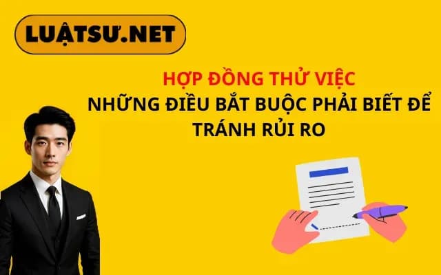hop-dong-thu-viec-nhung-dieu-bat-buoc-phai-biet-de-tranh-rui-ro