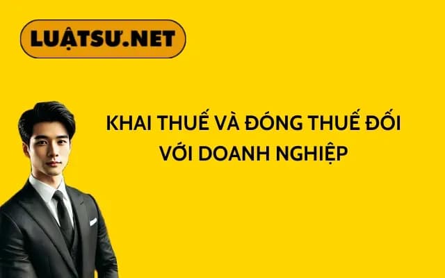 khai-thue-va-dong-thue-doi-voi-doanh-nghiep