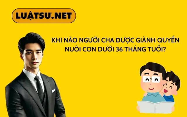 khi-nao-nguoi-cha-duoc-gianh-quyen-nuoi-con-duoi-36-thang-tuoi