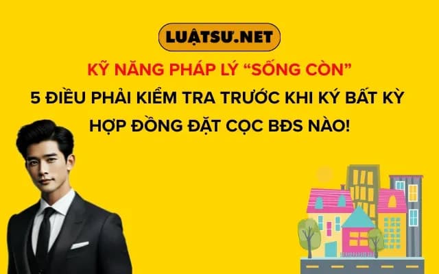 ky-nang-phap-ly-song-con-5-dieu-phai-kiem-tra-truoc-khi-ky-bat-ky-hop-dong-dat-coc-bds-nao