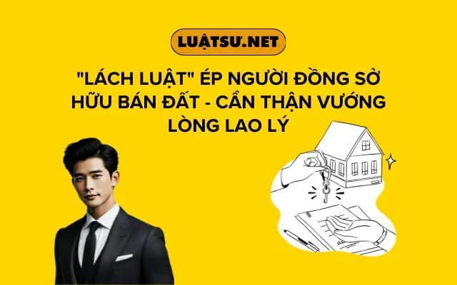 lach-luat-ep-nguoi-dong-so-huu-ban-dat-can-than-vuong-long-lao-ly