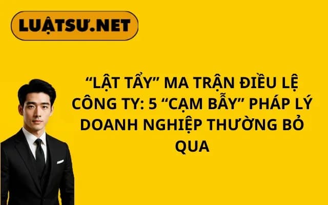 lat-tay-ma-tran-dieu-le-cong-ty-5-cam-bay-phap-ly-doanh-nghiep-thuong-bo-qua