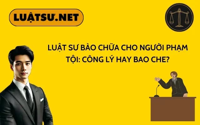 luat-su-bao-chua-cho-nguoi-pham-toi-cong-ly-hay-bao-che