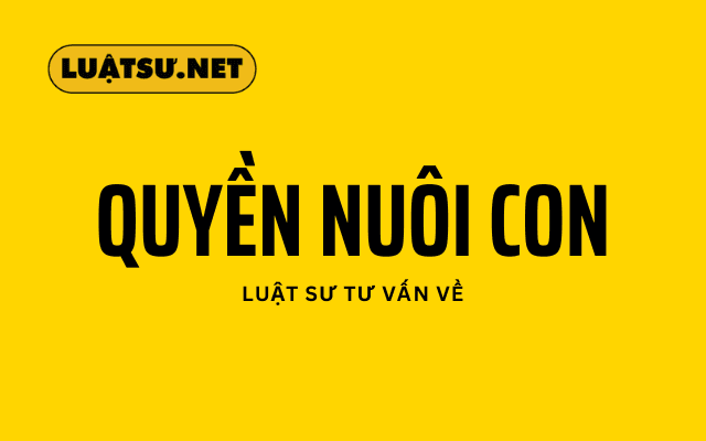 luật sư tư vấn giành quyền nuôi con