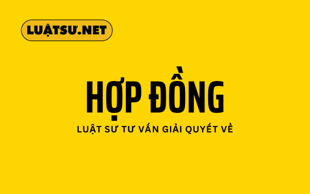 luật sư tư vấn về pháp lý hợp đồng
