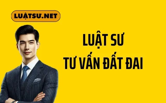 Luật sư tư vấn đất đai chuyên sâu và tận tâm tại Việt Nam
