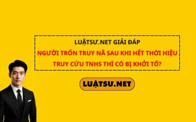 luatsu-net-giai-dap-nguoi-tron-truy-na-sau-khi-het-thoi-hieu-truy-cuu-tnhs-thi-co-bi-khoi-to