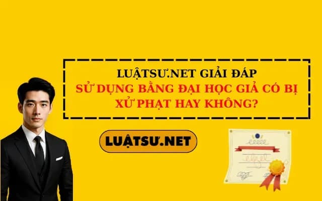 luatsu-net-giai-dap-su-dung-bang-dai-hoc-gia-co-bi-xu-phat-hay-khong