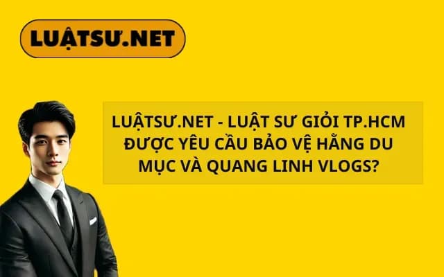 luatsu-net-luat-su-gioi-tp-hcm-duoc-yeu-cau-bao-ve-hang-du-muc-va-quang-linh-vlog