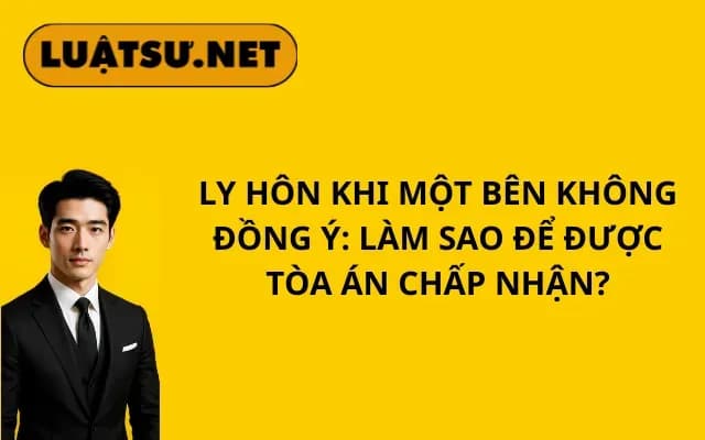 ly-hon-khi-mot-ben-khong-dong-y-lam-sao-de-duoc-toa-an-chap-nhan