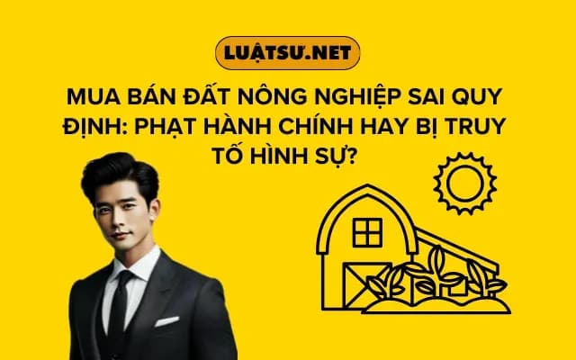 mua-ban-dat-nong-nghiep-sai-quy-dinh-phat-hanh-chinh-hay-bi-truy-to-hinh-su