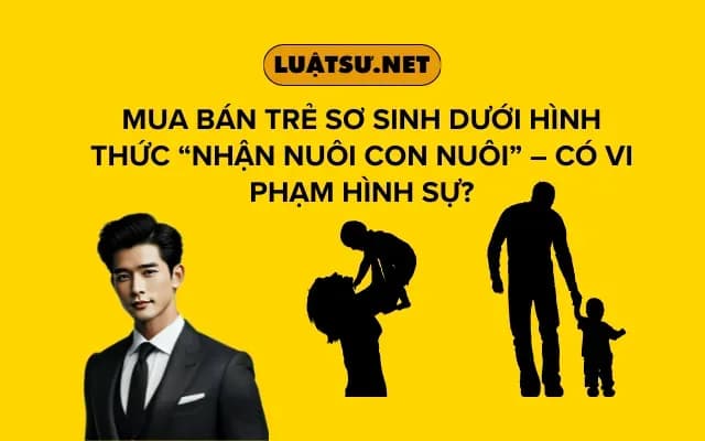 mua-ban-tre-so-sinh-duoi-hinh-thuc-nhan-nuoi-con-nuoi-co-vi-pham-hinh-su