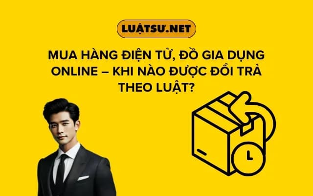 mua-hang-dien-tu-do-gia-dung-online-khi-nao-duoc-doi-tra-theo-luat