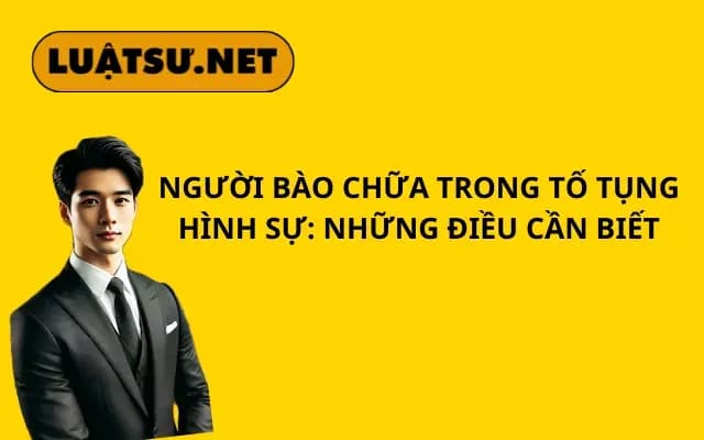 nguoi-bao-chua-trong-to-tung-hinh-su-nhung-dieu-can-biet