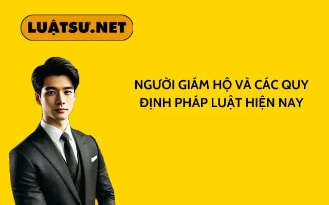 nguoi-giam-ho-va-cac-quy-dinh-phap-luat-hien-nay