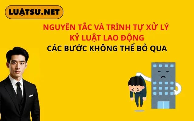 nguyen-tac-va-trinh-tu-xu-ly-ky-luat-lao-dong-cac-buoc-khong-the-bo-qua