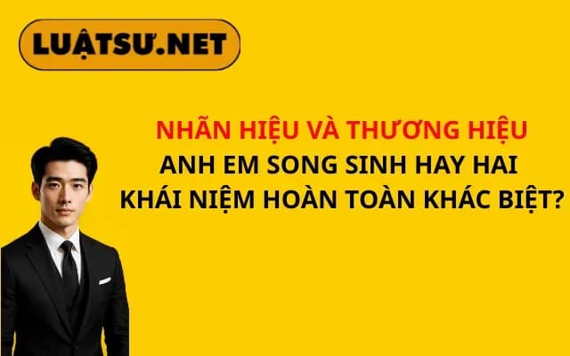 nhan-hieu-va-thuong-hieu-anh-em-song-sinh-hay-hai-khai-niem-hoan-toan-khac-biet
