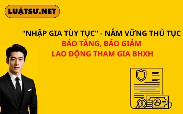nhap-gia-tuy-tuc-nam-vung-thu-tuc-bao-tang-bao-giam-lao-dong-tham-gia-bhxh
