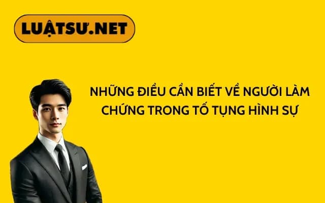 nhung-dieu-can-biet-ve-nguoi-lam-chung-trong-to-tung-hinh-su