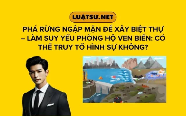 pha-rung-ngap-man-de-xay-biet-thu-lam-suy-yeu-phong-ho-ven-bien-co-the-truy-to-hinh-su-khong