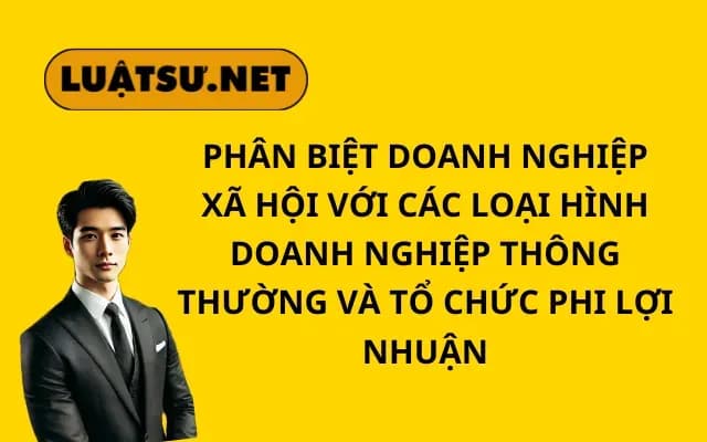 phan-biet-doanh-nghiep-xa-hoi-voi-cac-loai-hinh-doanh-nghiep-thong-thuong-va-to-chuc-phi-loi-nhuan