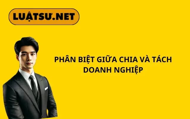 phan-biet-giua-chia-va-tach-doanh-nghiep