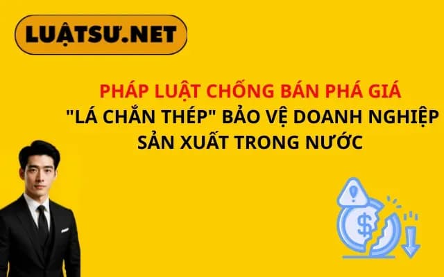 phap-luat-chong-ban-pha-gia-la-chan-thep-bao-ve-doanh-nghiep-san-xuat-trong-nuoc
